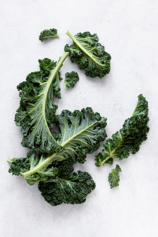 Kale - Λαχανίδα πράσινη