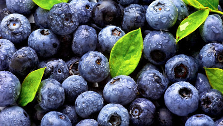Μύρτιλλα (Blueberries) 125γρ